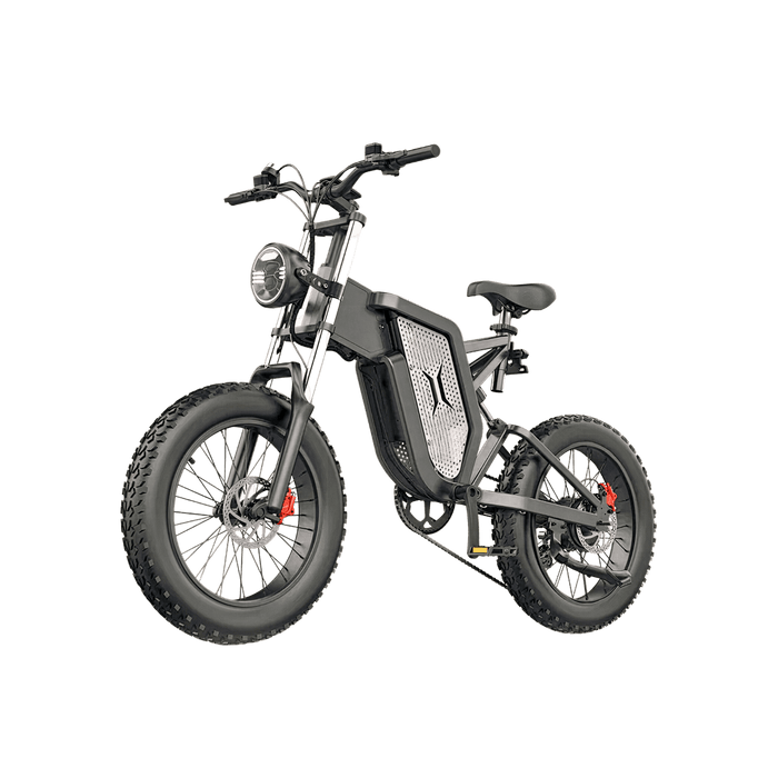 IDOTATA X20 ELECTRIC BIKE - ScootiBoo