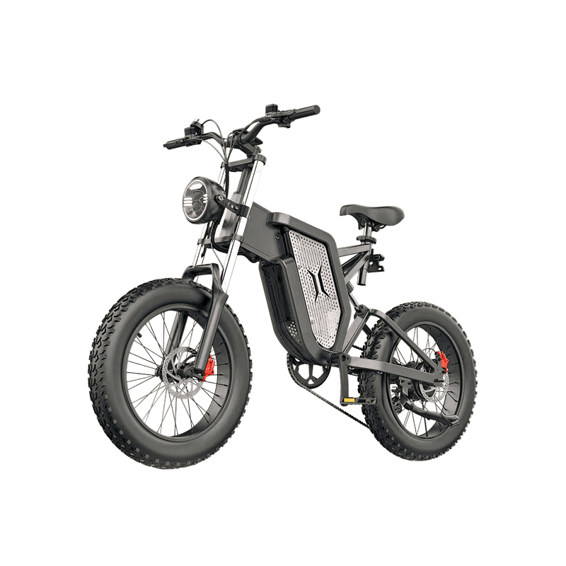 IDOTATA X20 ELECTRIC BIKE - ScootiBoo