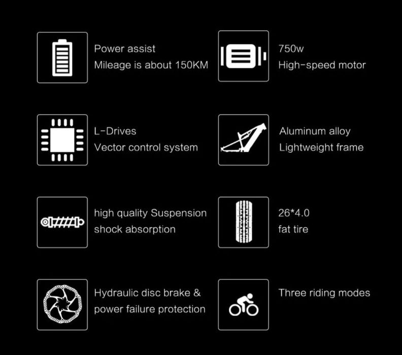 LANKELEISI RV800 ELECTRIC BIKE - ScootiBoo